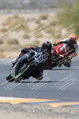 media/May-14-2023-SoCal Trackdays (Sun) [[024eb53b40]]/Turn 5 Tree of Life (1125am)/